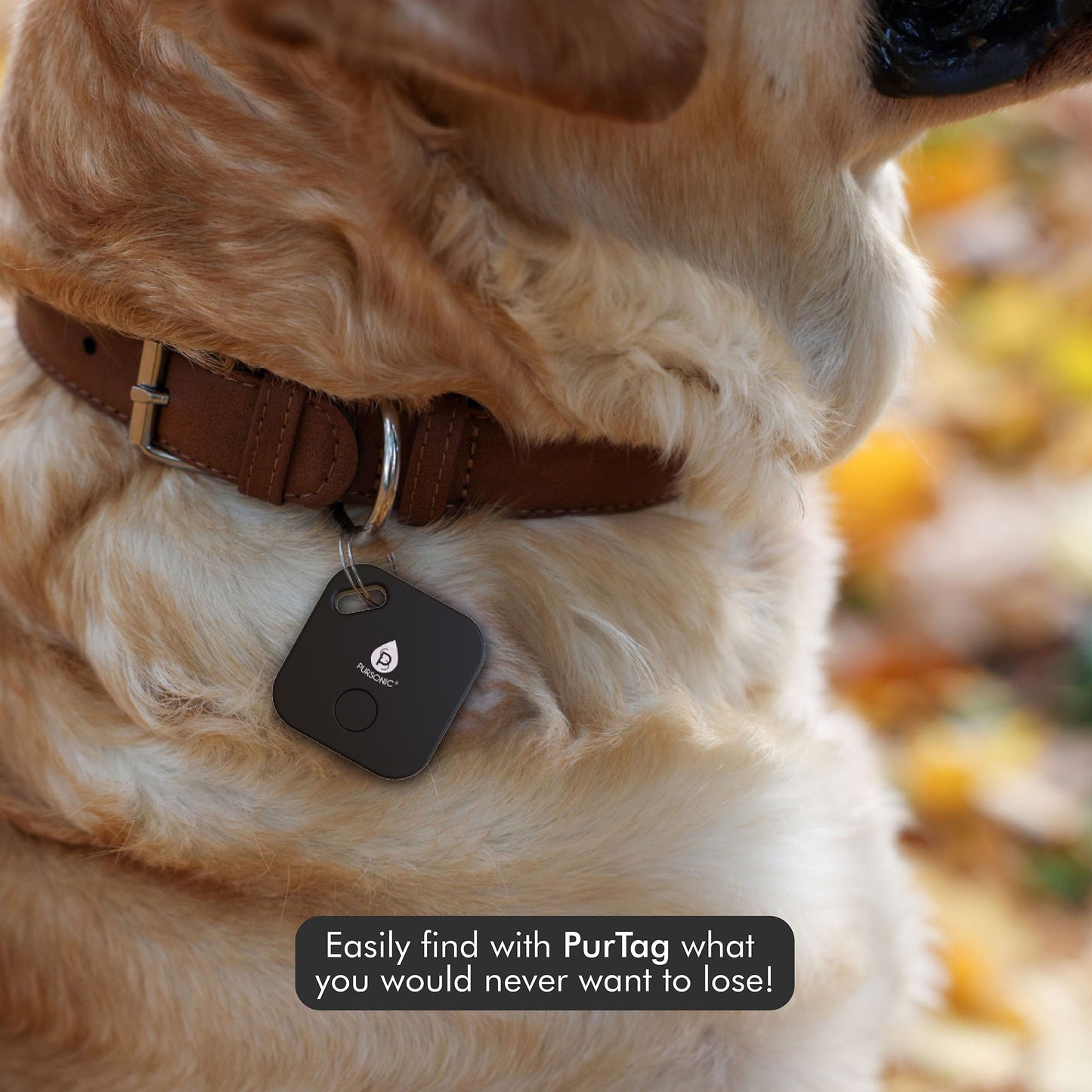 Purtag Tracker: Ultimate Solution for Keeping Tabs on Your Belongings - Concordia Style Boutique