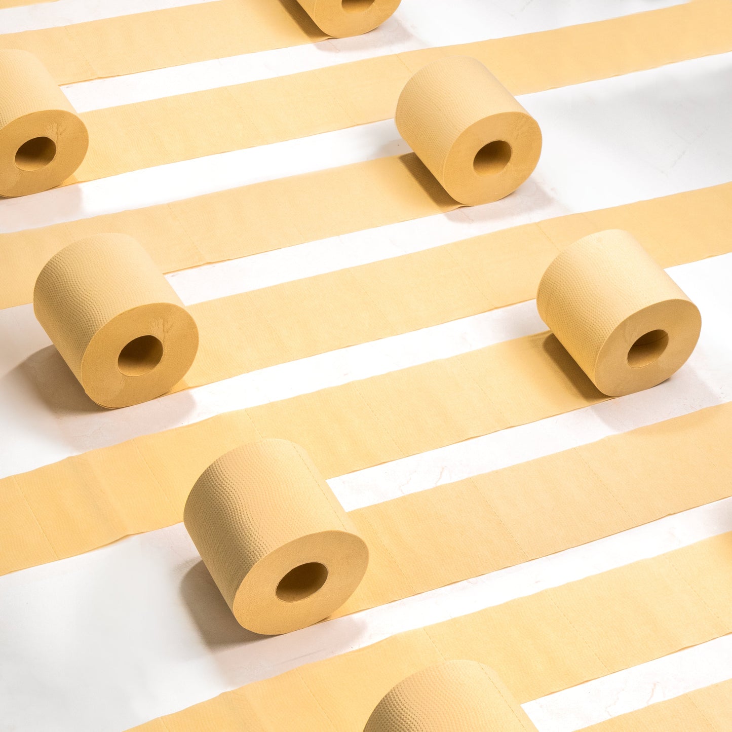Panda Eco Paper | Bamboo Toilet Paper Sample