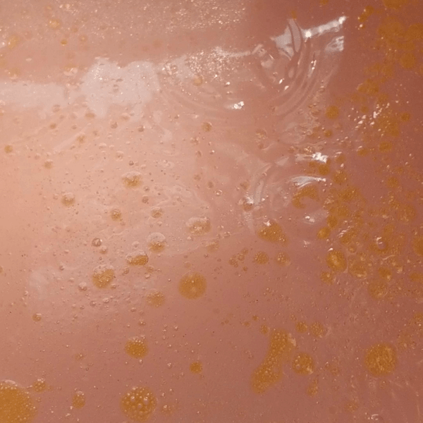 Peaceful Patchouli Bath Bomb - Concordia Style Boutique