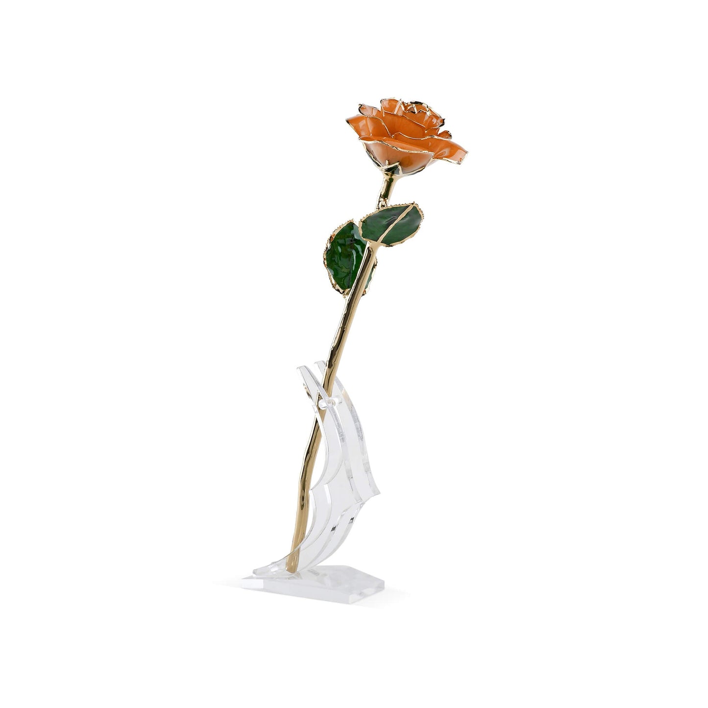 Timeless Rose (Pear) - Concordia Style Boutique