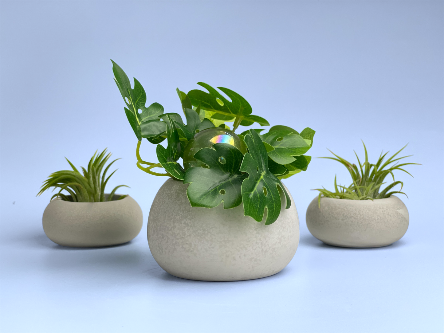 Mini Succulent Planter | Air Plant Holder - Concordia Style Boutique