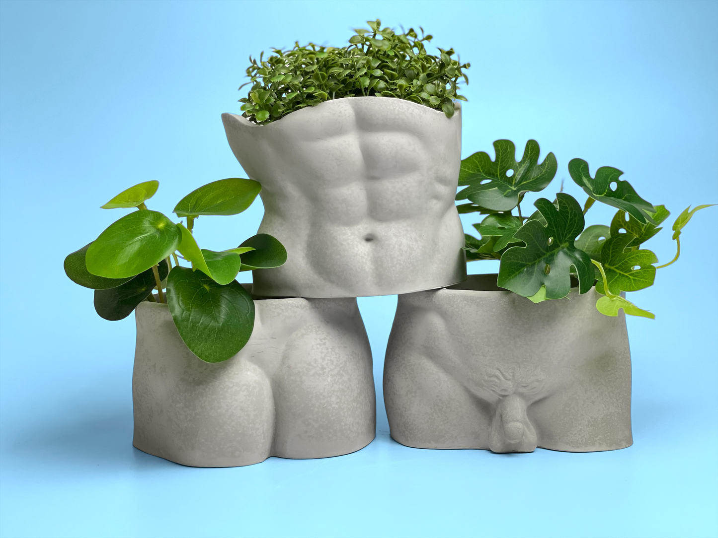 Male Body Planter Pot | Butt - Concordia Style Boutique