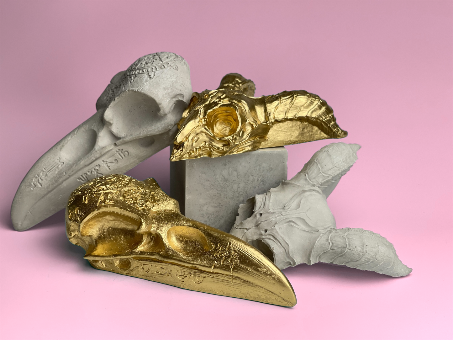GOTHIC RAVEN SKULL - Concordia Style Boutique