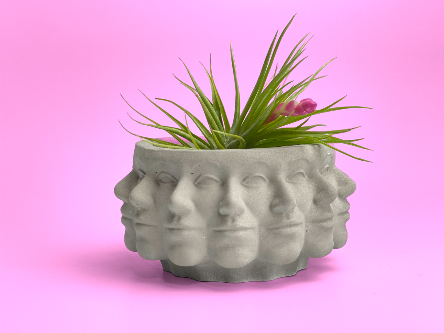 Multi Face Succulent Planter - Concordia Style Boutique