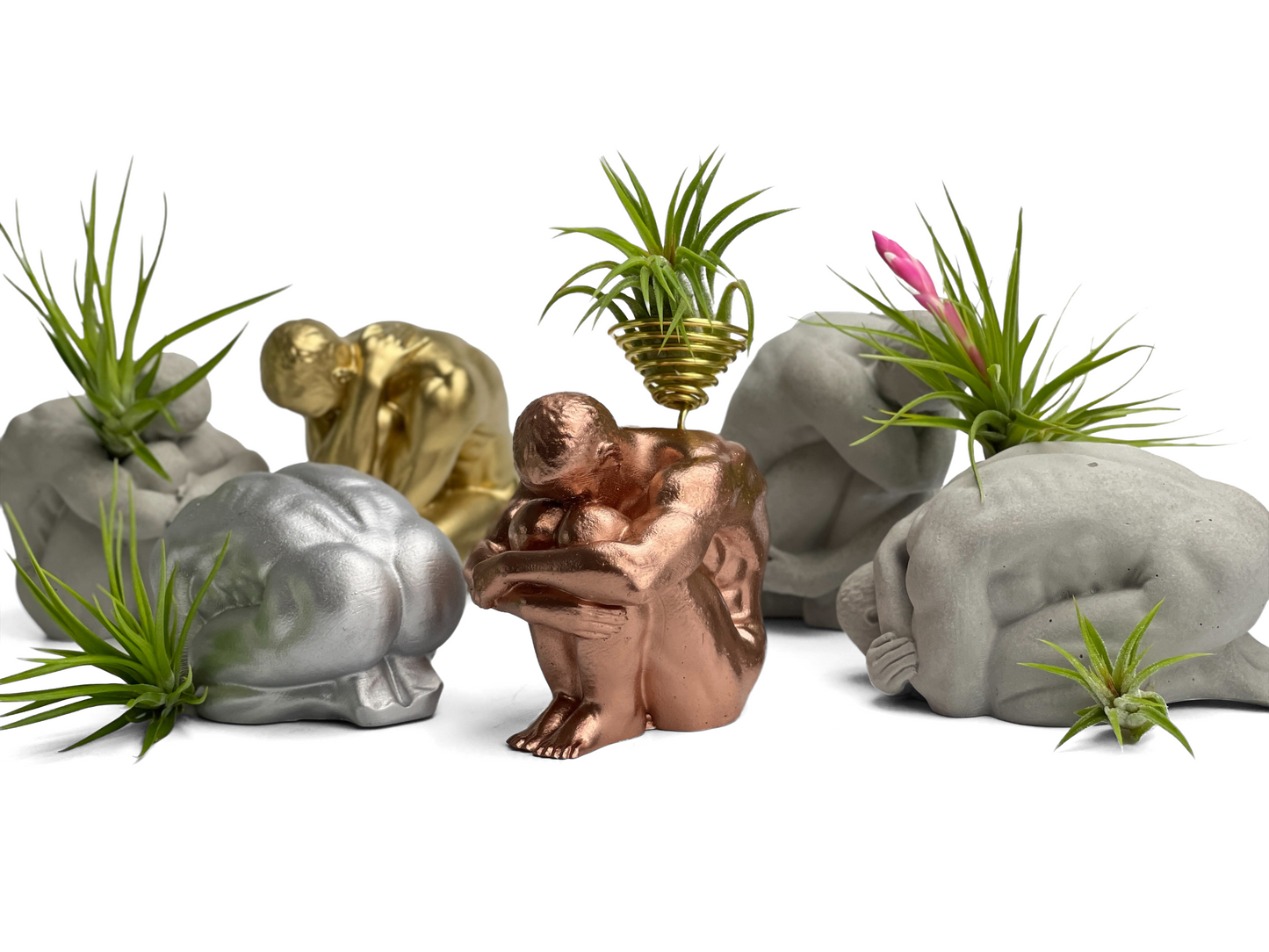 MALE BODY AIR PLANT HOLDER - Concordia Style Boutique