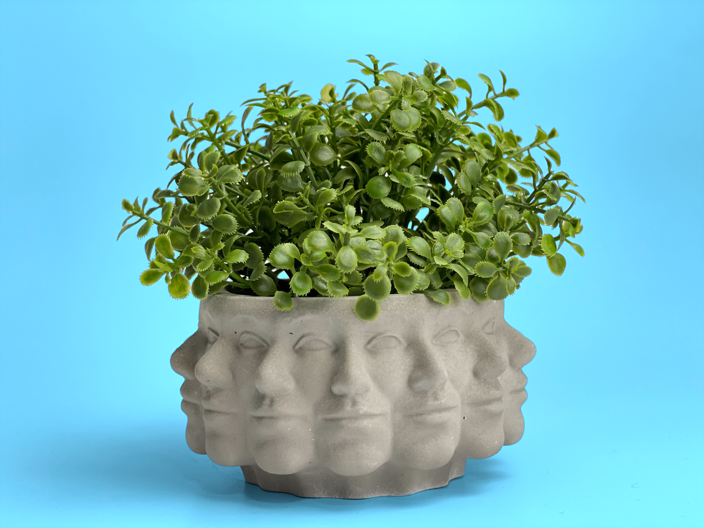 Multi Face Succulent Planter - Concordia Style Boutique