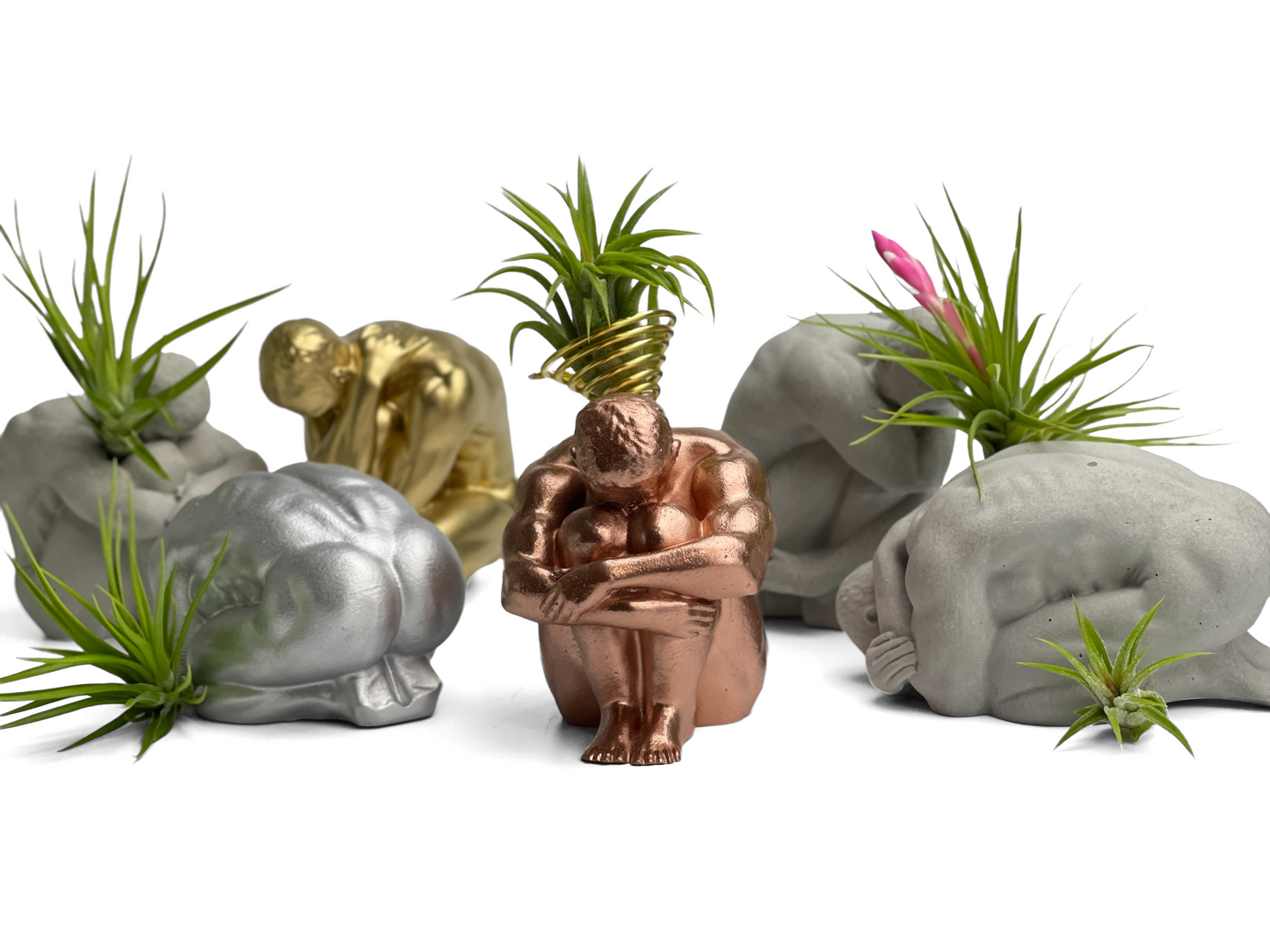 MALE BODY AIR PLANT HOLDER - Concordia Style Boutique