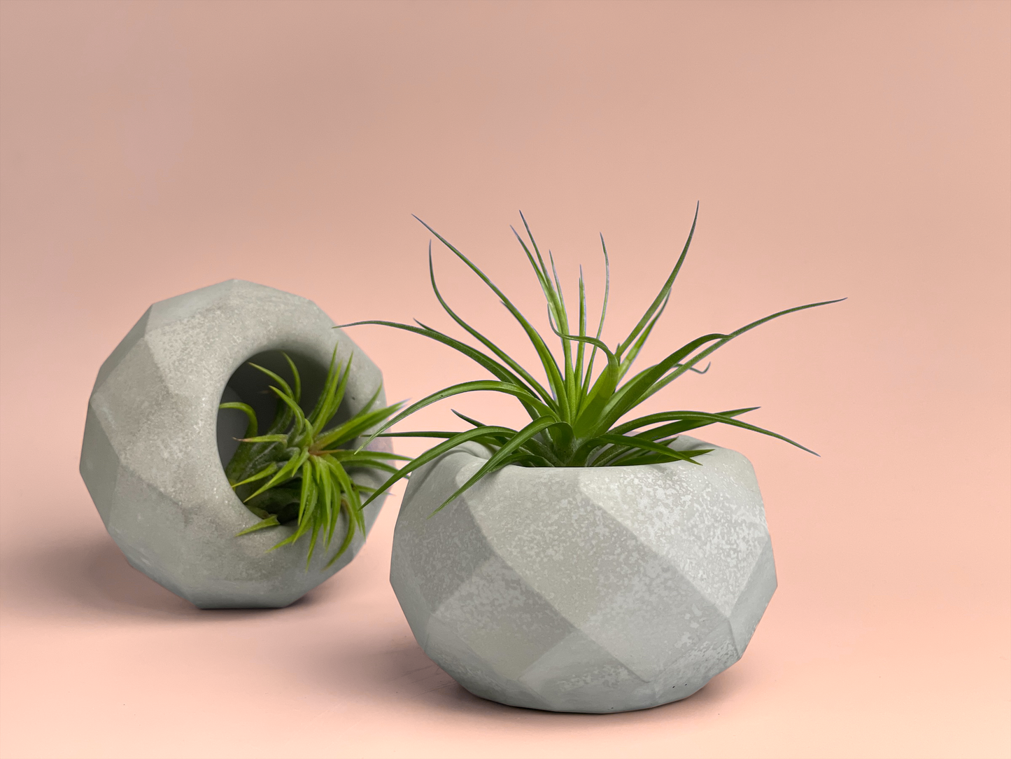 Geometric Air Plant Holder - Concordia Style Boutique