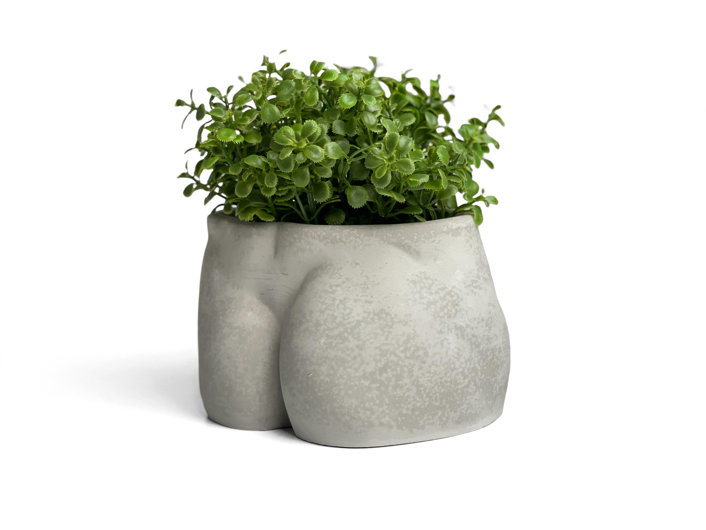 Male Body Planter Pot | Butt - Concordia Style Boutique