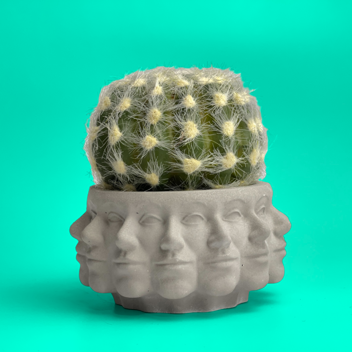 Multi Face Succulent Planter - Concordia Style Boutique