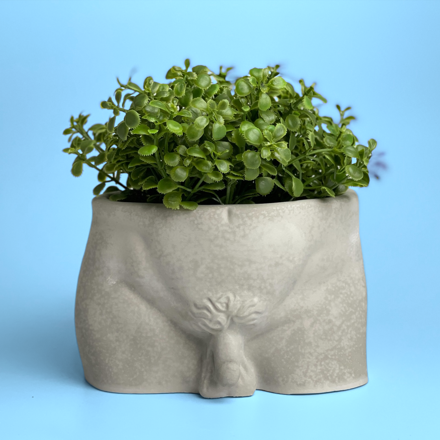 Male Body Planter Pot | Butt - Concordia Style Boutique
