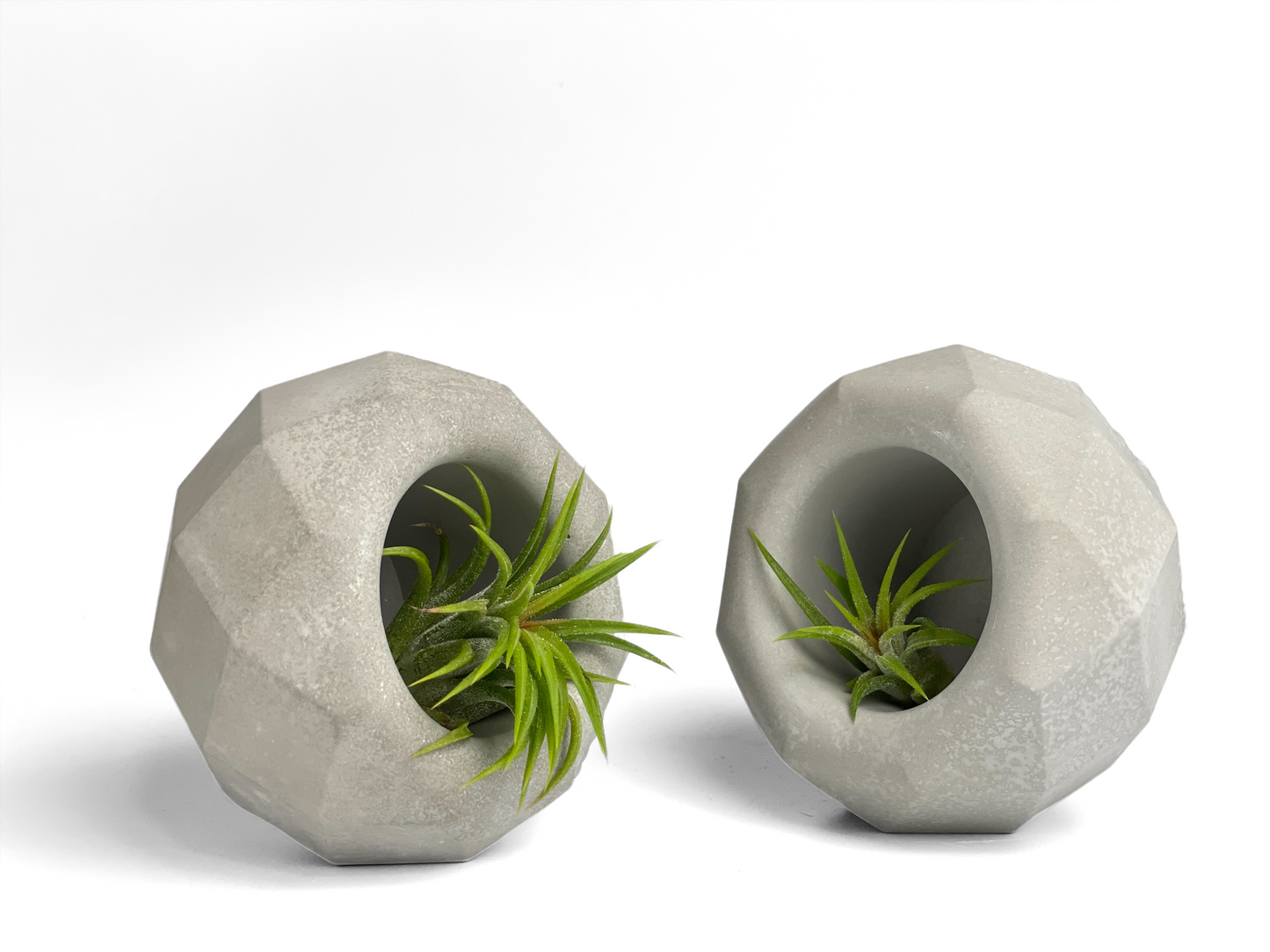 Geometric Air Plant Holder - Concordia Style Boutique