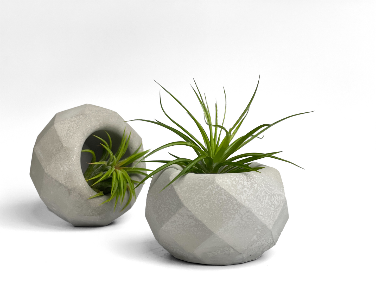 Geometric Air Plant Holder - Concordia Style Boutique