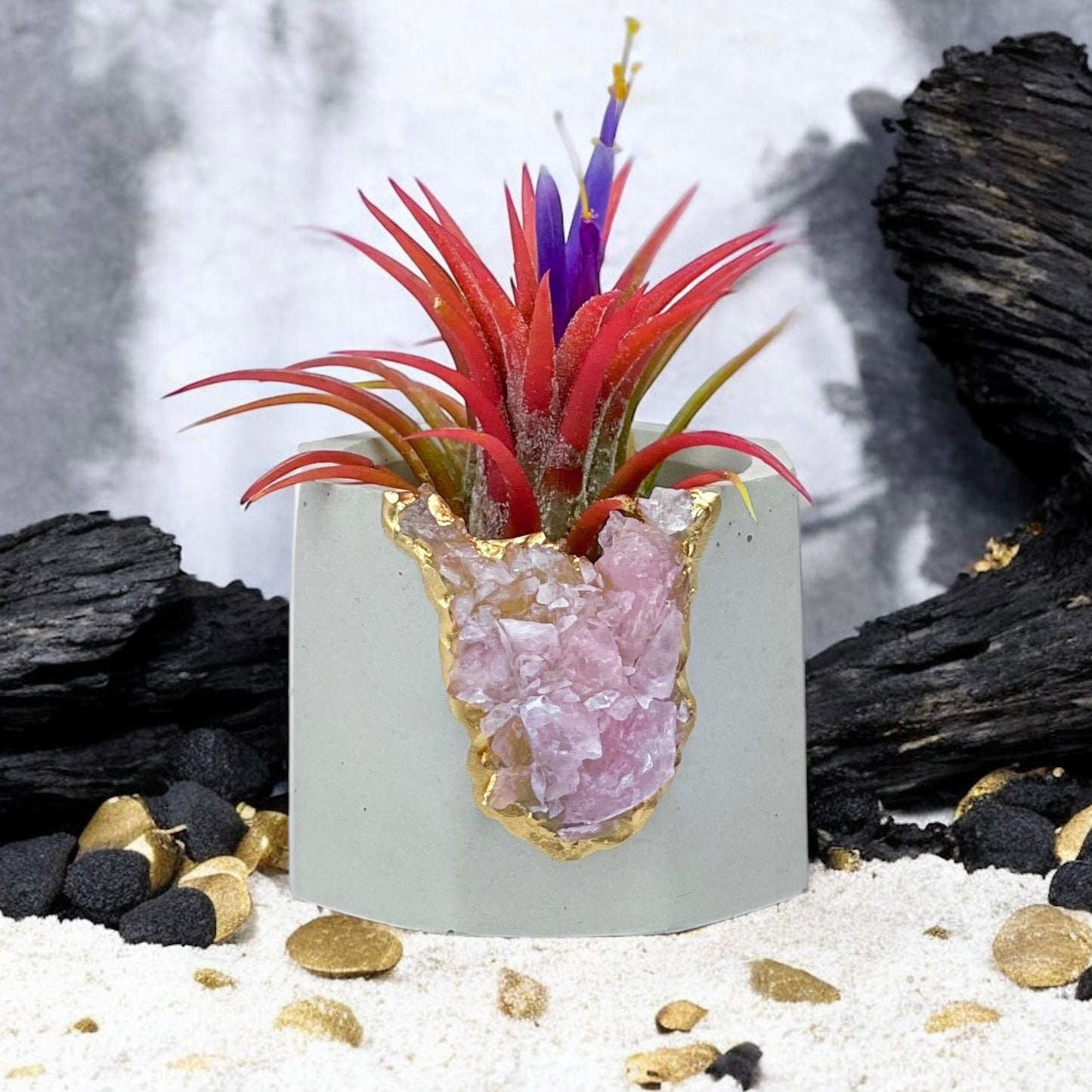 Raw ROSE QUARTZ GEODE PLANTER - Concordia Style Boutique