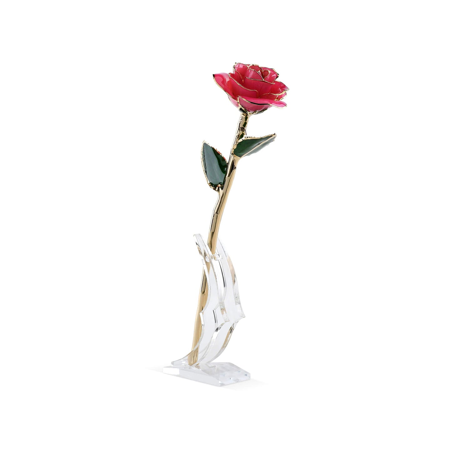Timeless Rose (Pink) - Concordia Style Boutique