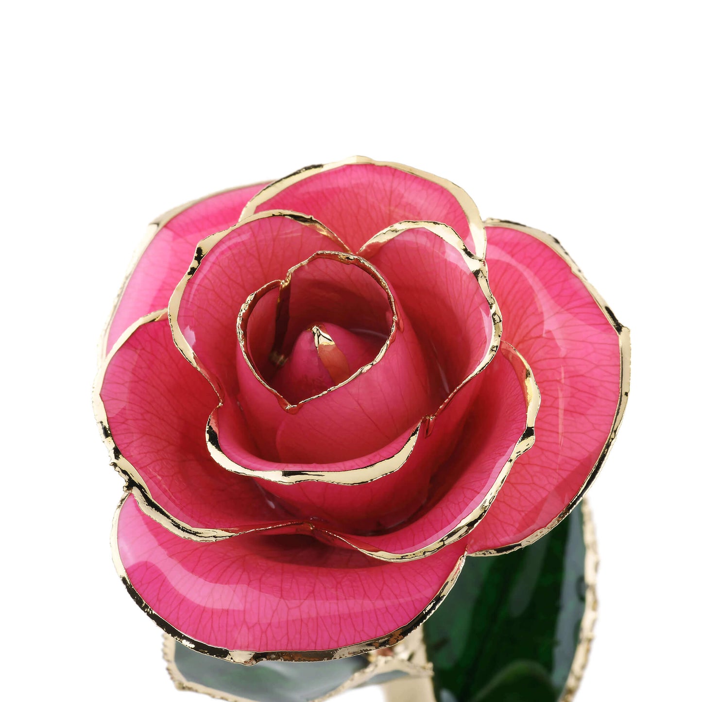 Timeless Rose (Pink) - Concordia Style Boutique