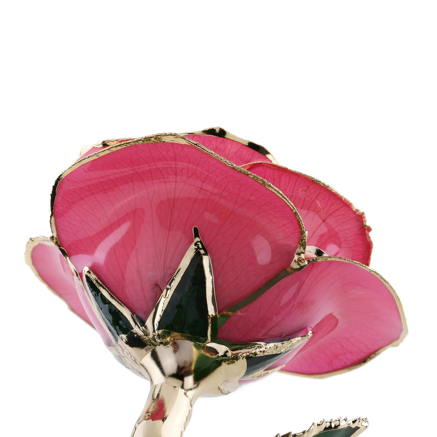 Timeless Rose (Pink) - Concordia Style Boutique