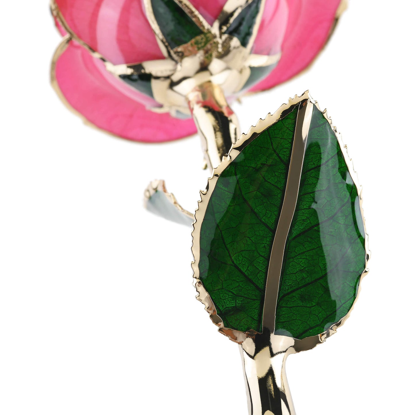 Timeless Rose (Pink) - Concordia Style Boutique