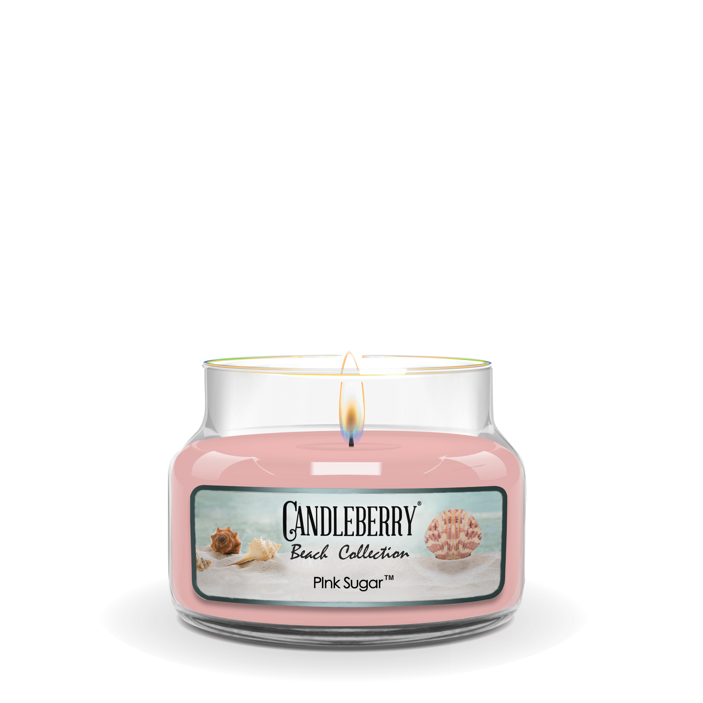 Beach Collection - Pink Sugar™, Small Jar Candle (Collective) - Concordia Style Boutique