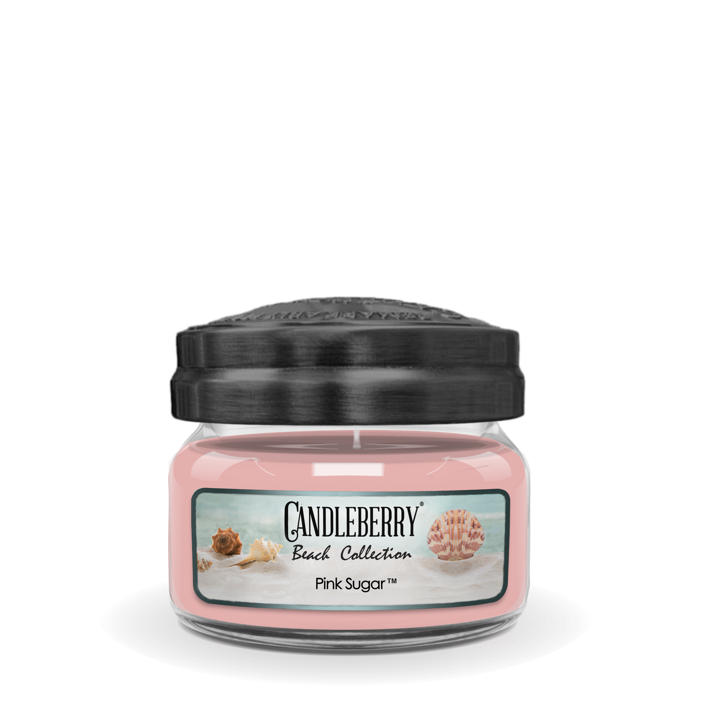Beach Collection - Pink Sugar™, Small Jar Candle (Collective) - Concordia Style Boutique
