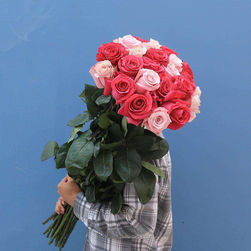 EXTRA LONG STEM ROSES