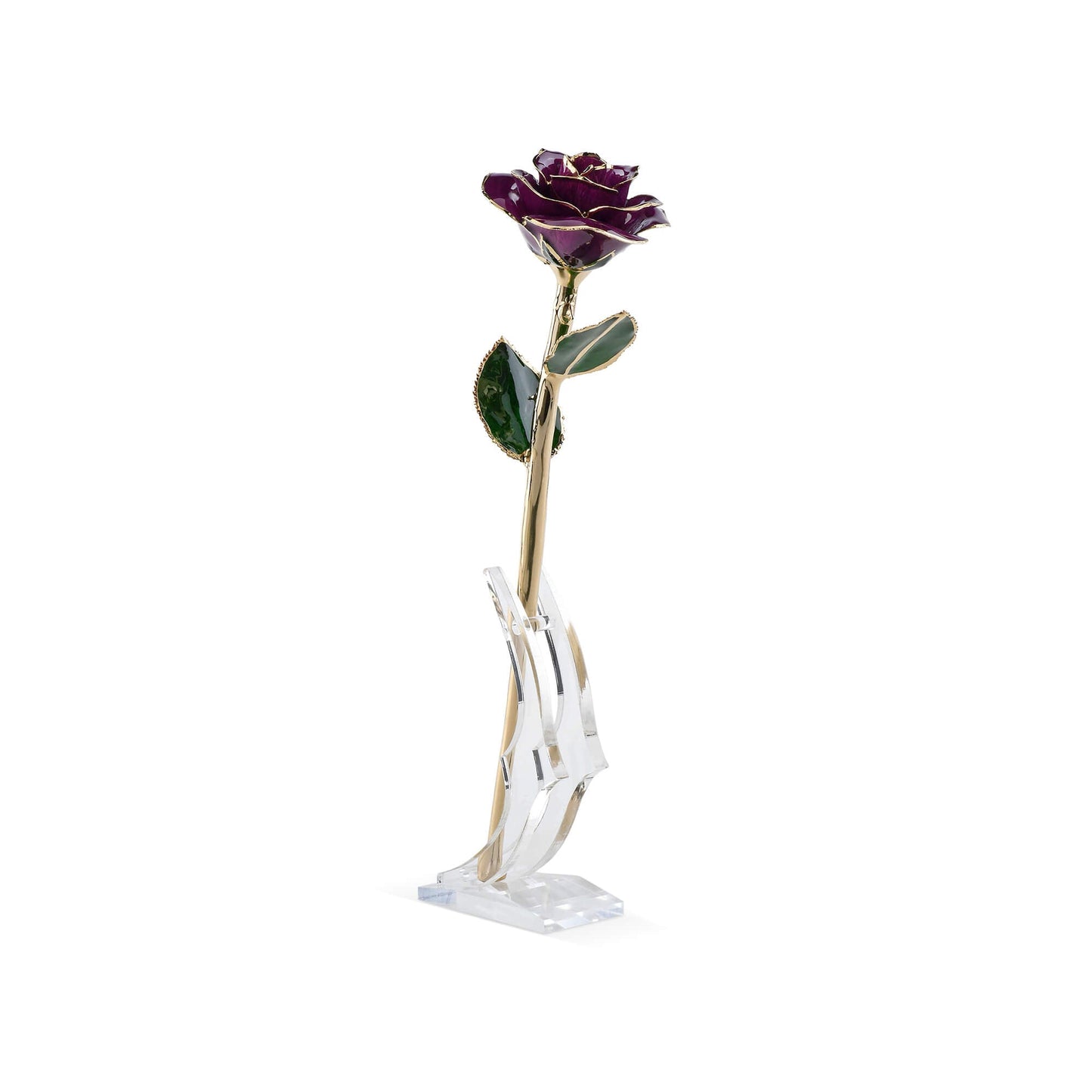 Timeless Rose (Purple) - Concordia Style Boutique