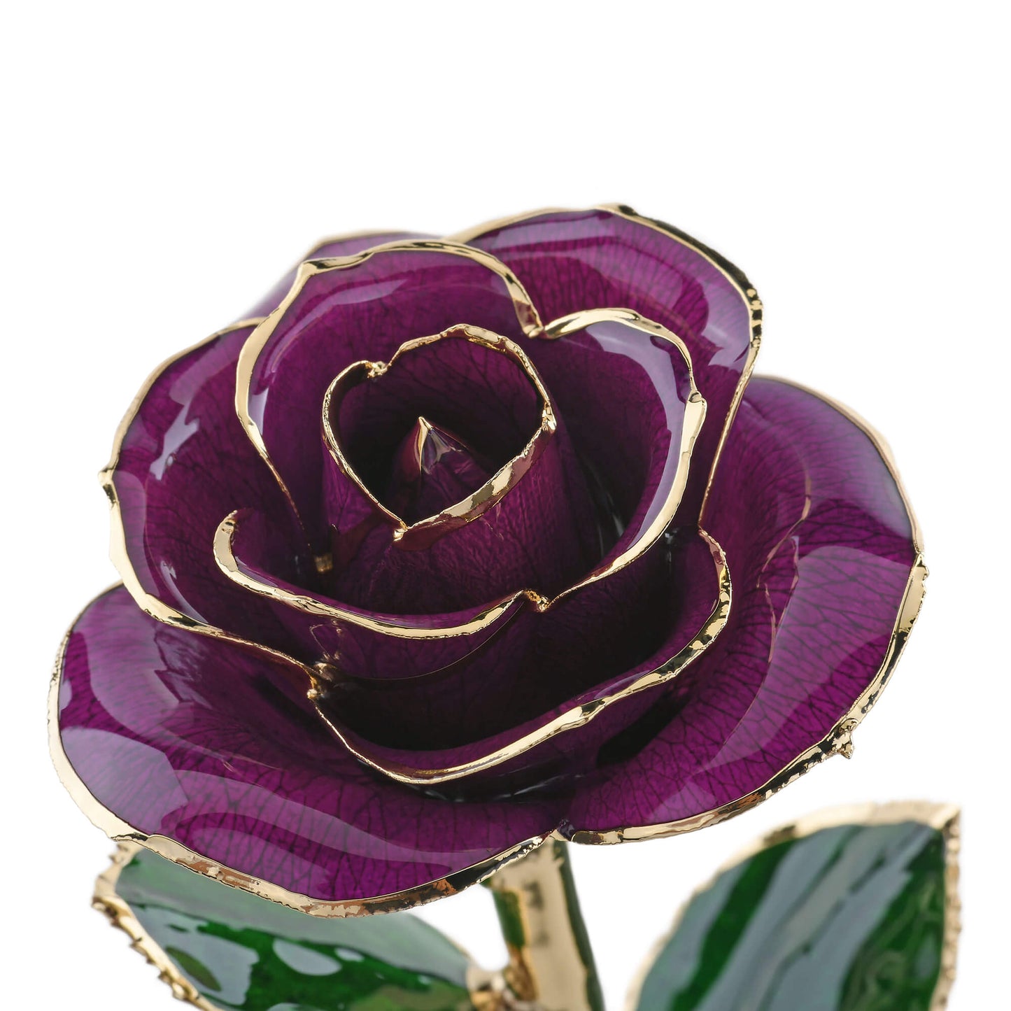 Timeless Rose (Purple) - Concordia Style Boutique