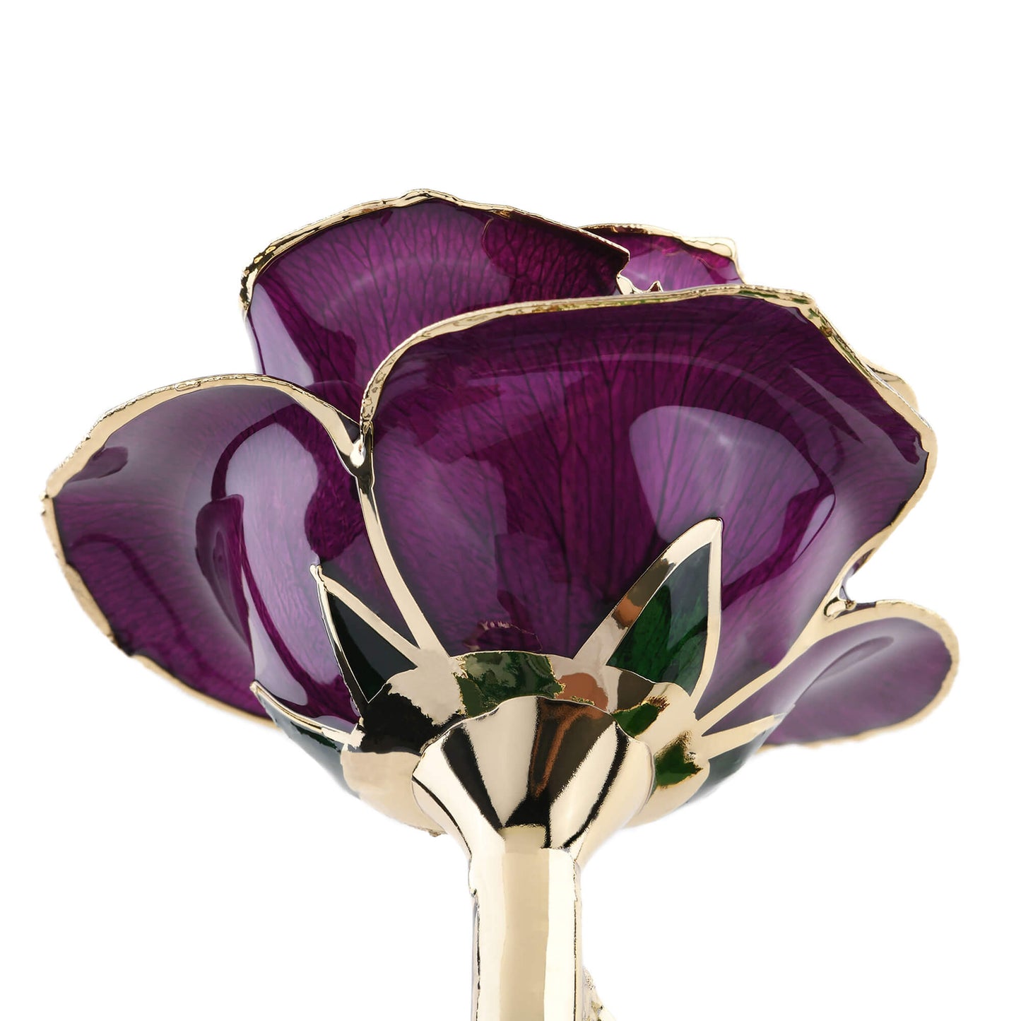 Timeless Rose (Purple) - Concordia Style Boutique