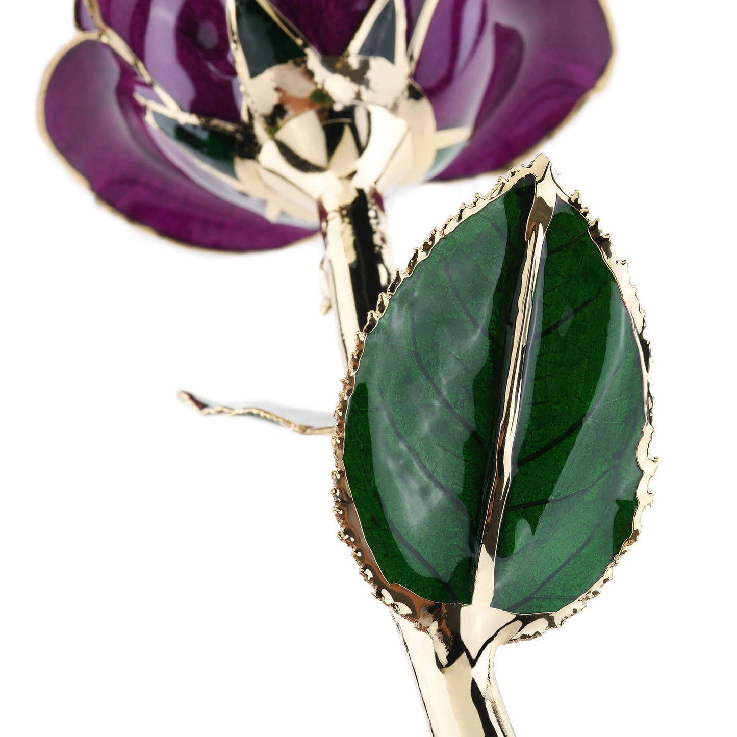 Timeless Rose (Purple) - Concordia Style Boutique