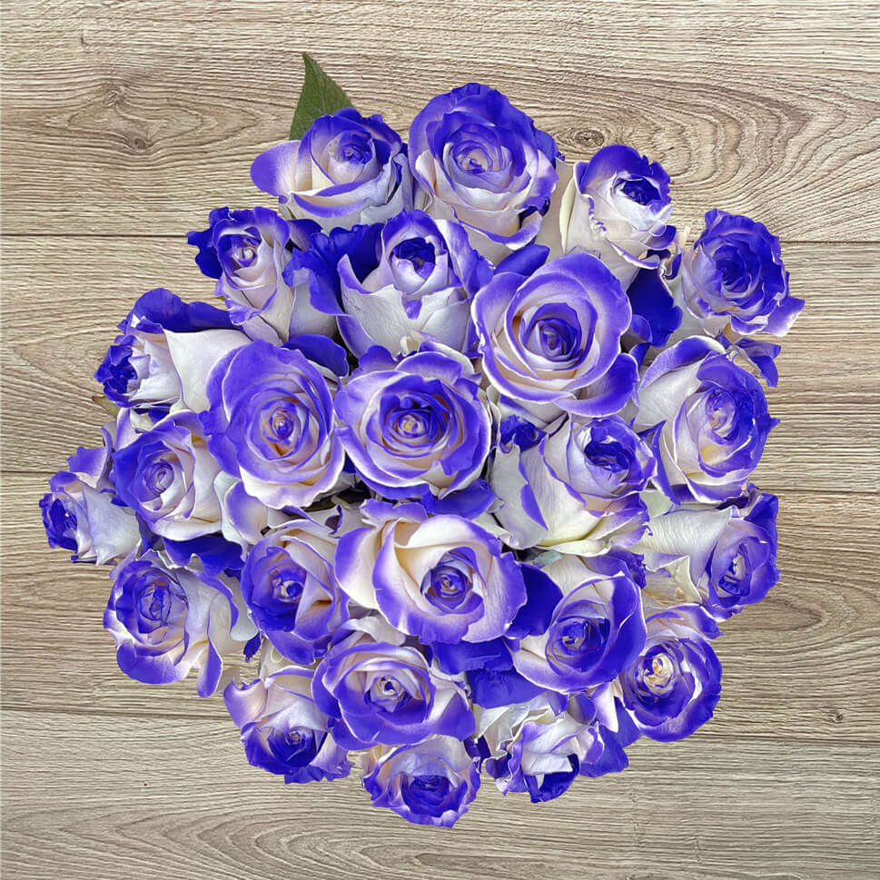 PURPLE VAUGHN