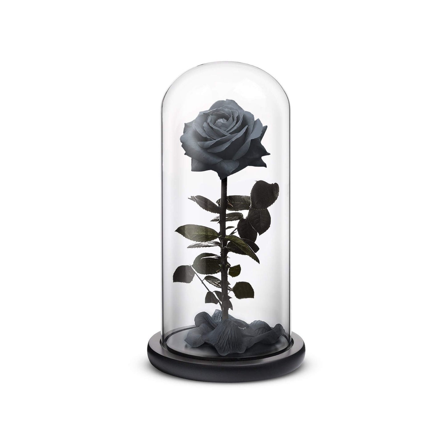 Everlasting Rose (Black) - Concordia Style Boutique