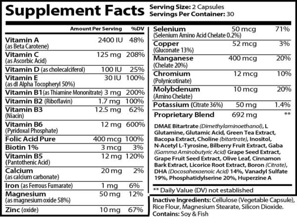Intellect | Focus & Reaction Nootropic Formula - Concordia Style Boutique