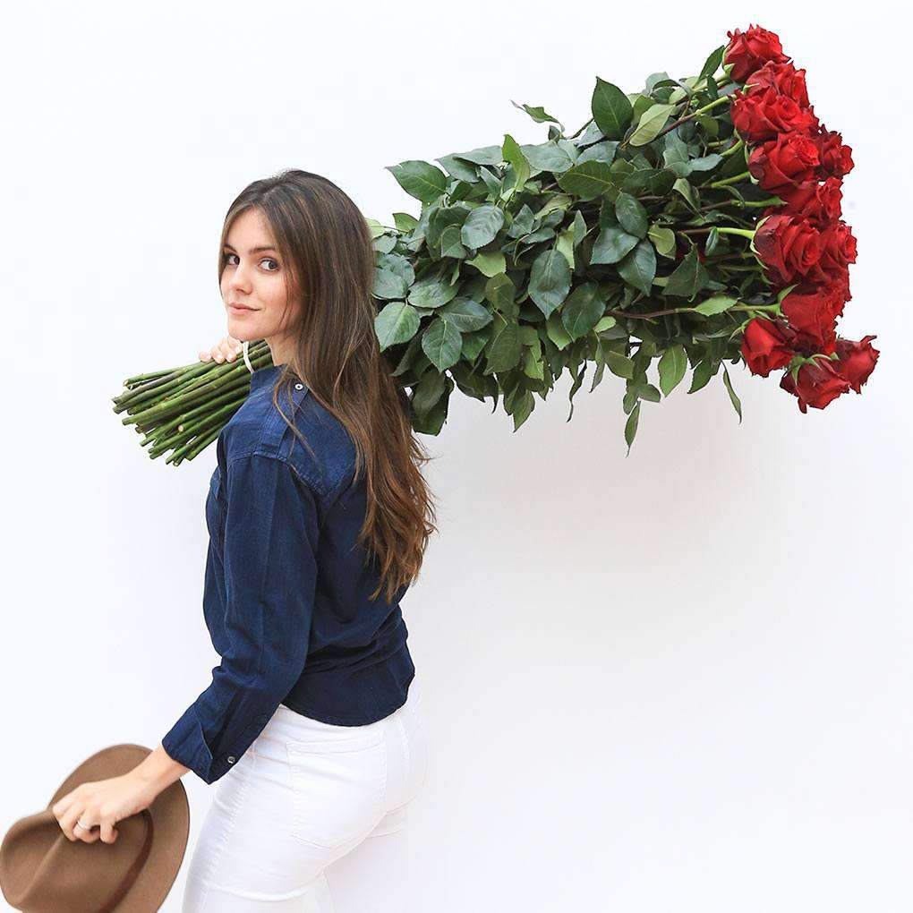 EXTRA LONG STEM ROSES