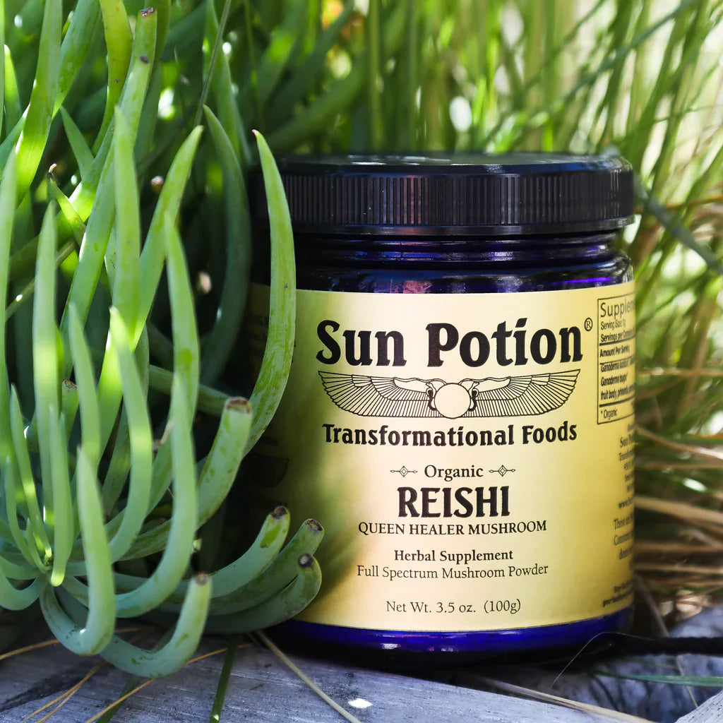 Reishi Mushroom Powder (Organic) - Concordia Style Boutique