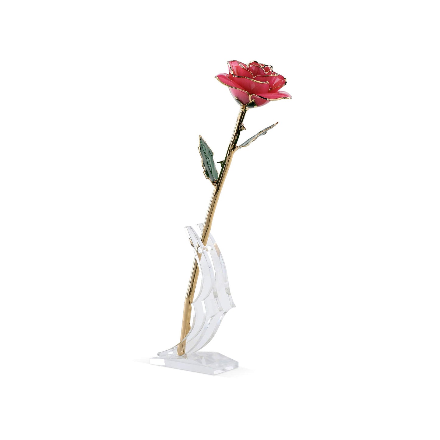 Timeless Rose (Rich Pink) - Concordia Style Boutique