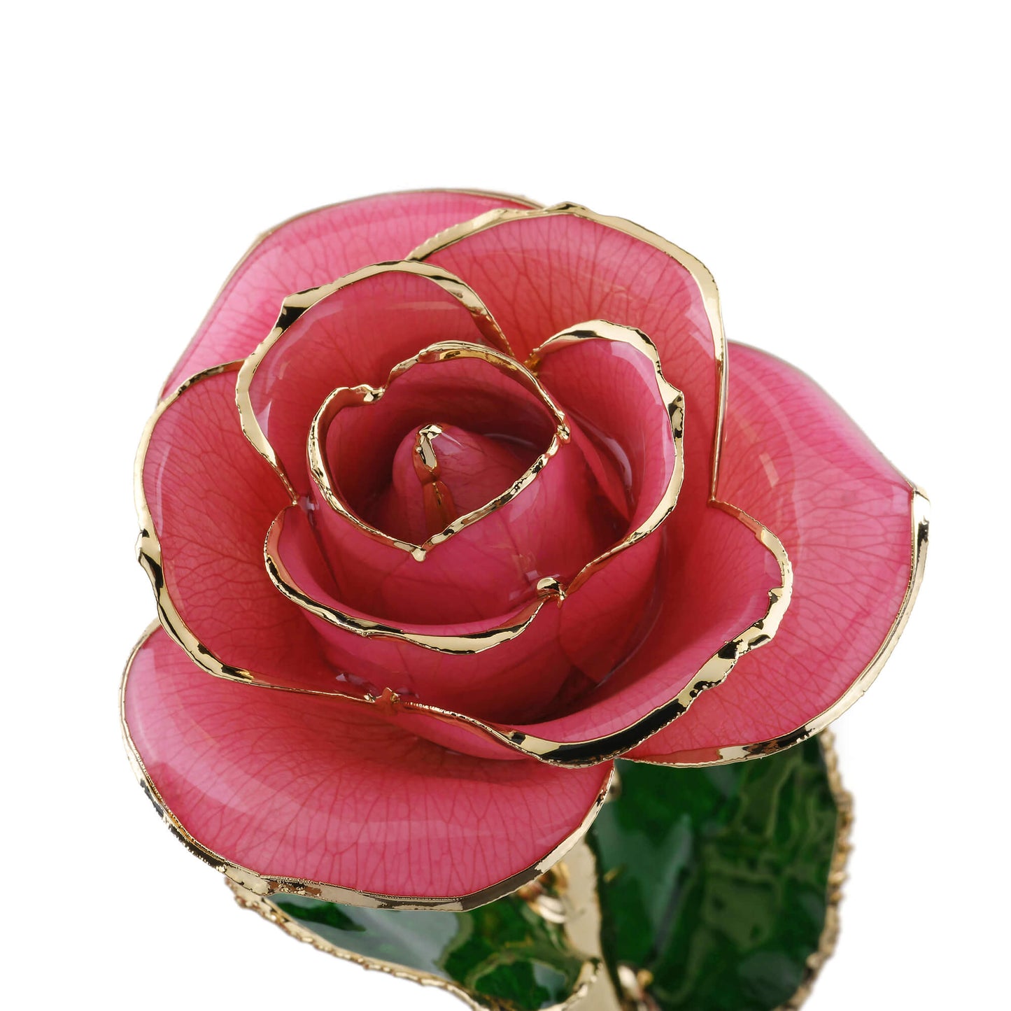 Timeless Rose (Rich Pink) - Concordia Style Boutique