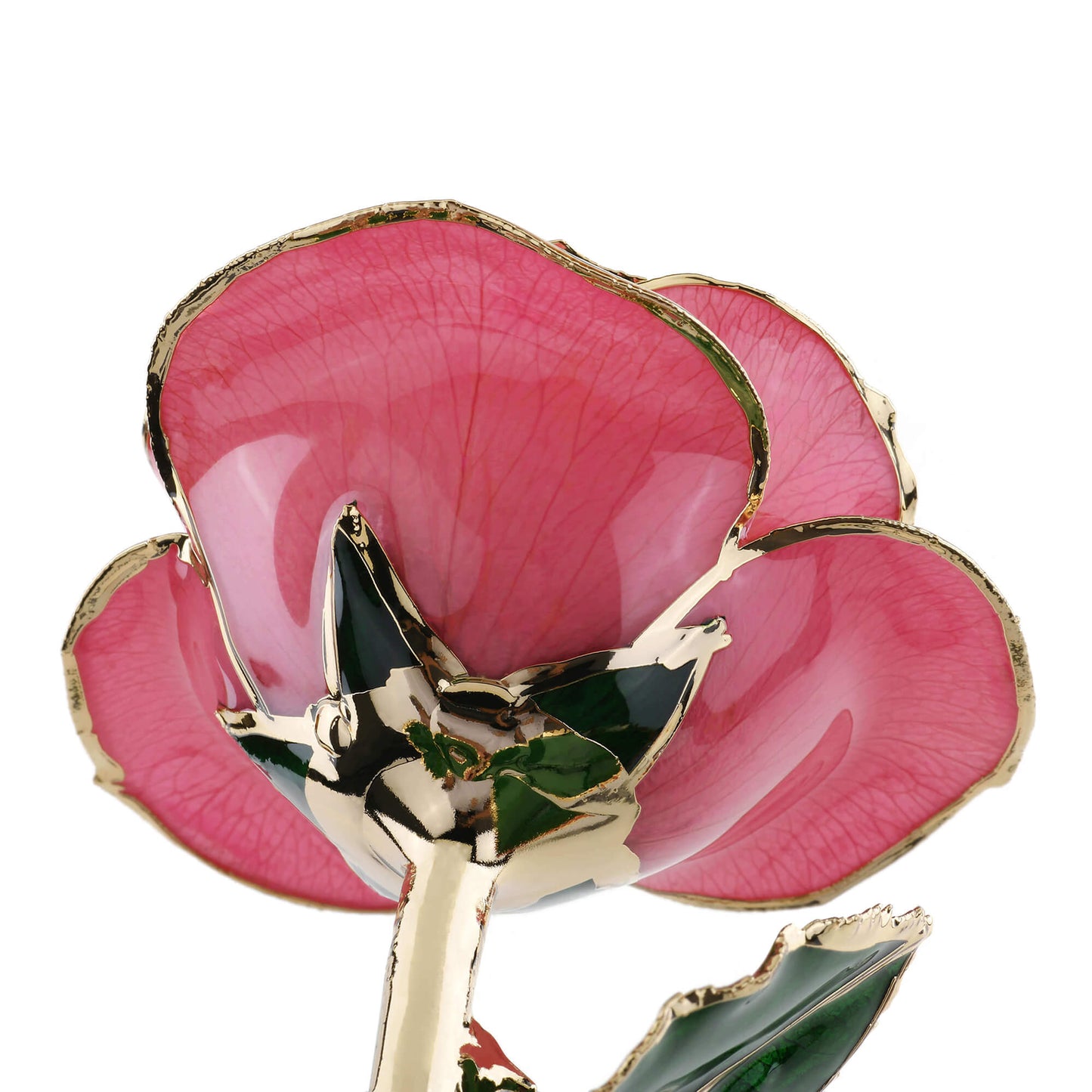 Timeless Rose (Rich Pink) - Concordia Style Boutique