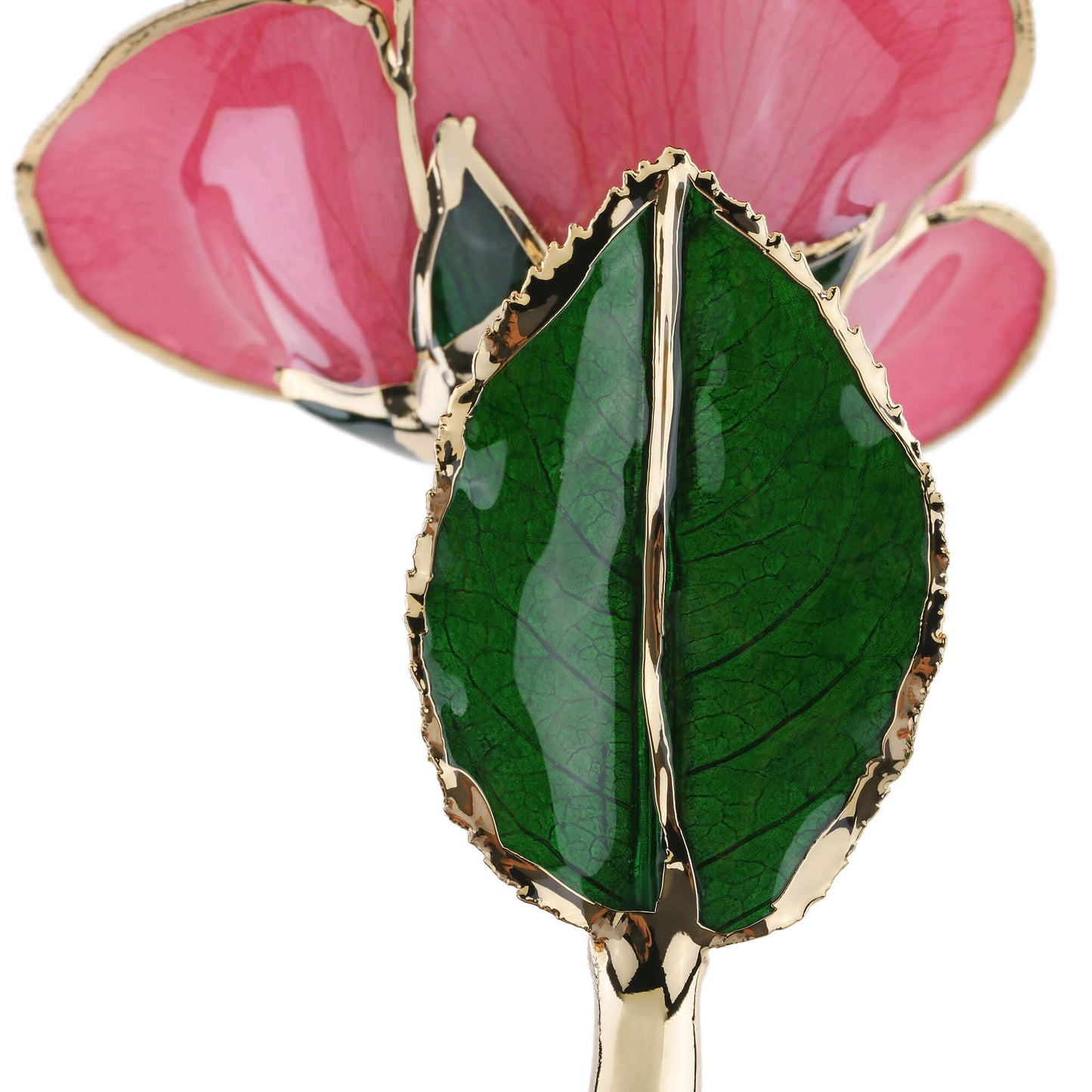 Timeless Rose (Rich Pink) - Concordia Style Boutique