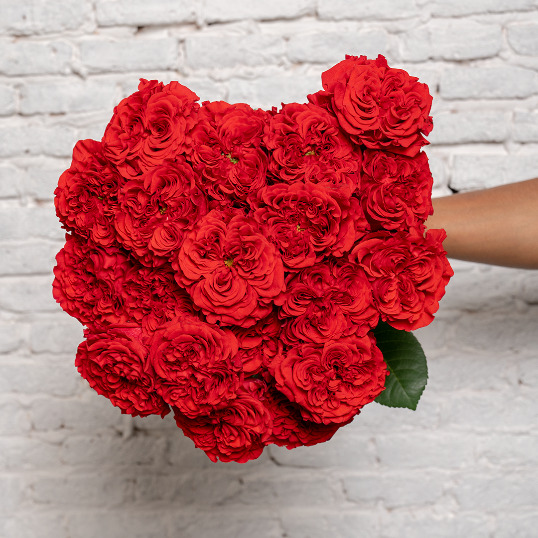 RUBY IMPERIAL