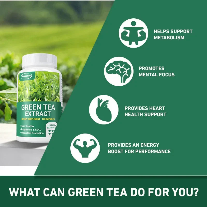 Green Tea Extract - Boosts Metabolism, Supports Heart and Brain Health, Enhances Memory, Immune System