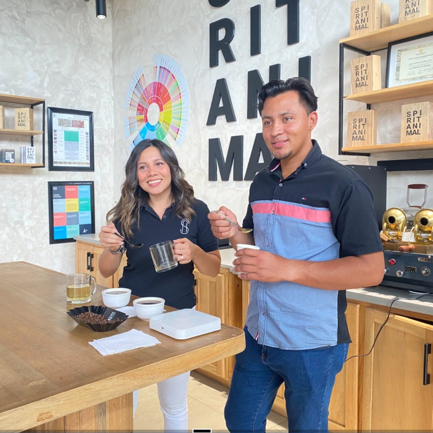 Honduran Cup of Excellence Parainema Coffee - Concordia Style Boutique