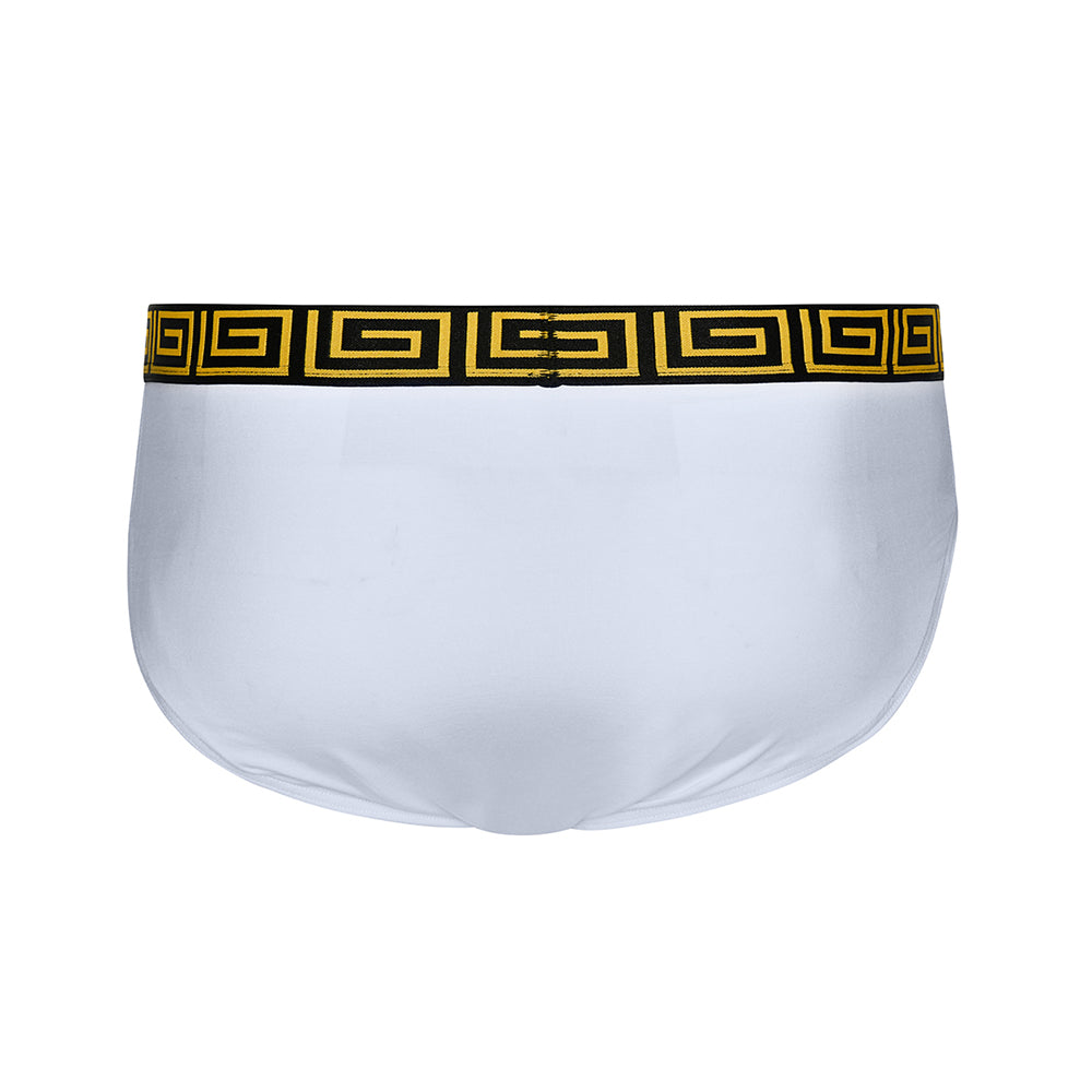 SHEATH Men's Dual Pouch Briefs - Concordia Style Boutique
