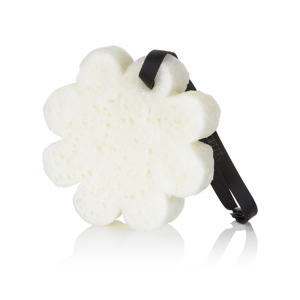 Autumn Bloom | Boxed Flower - Concordia Style Boutique