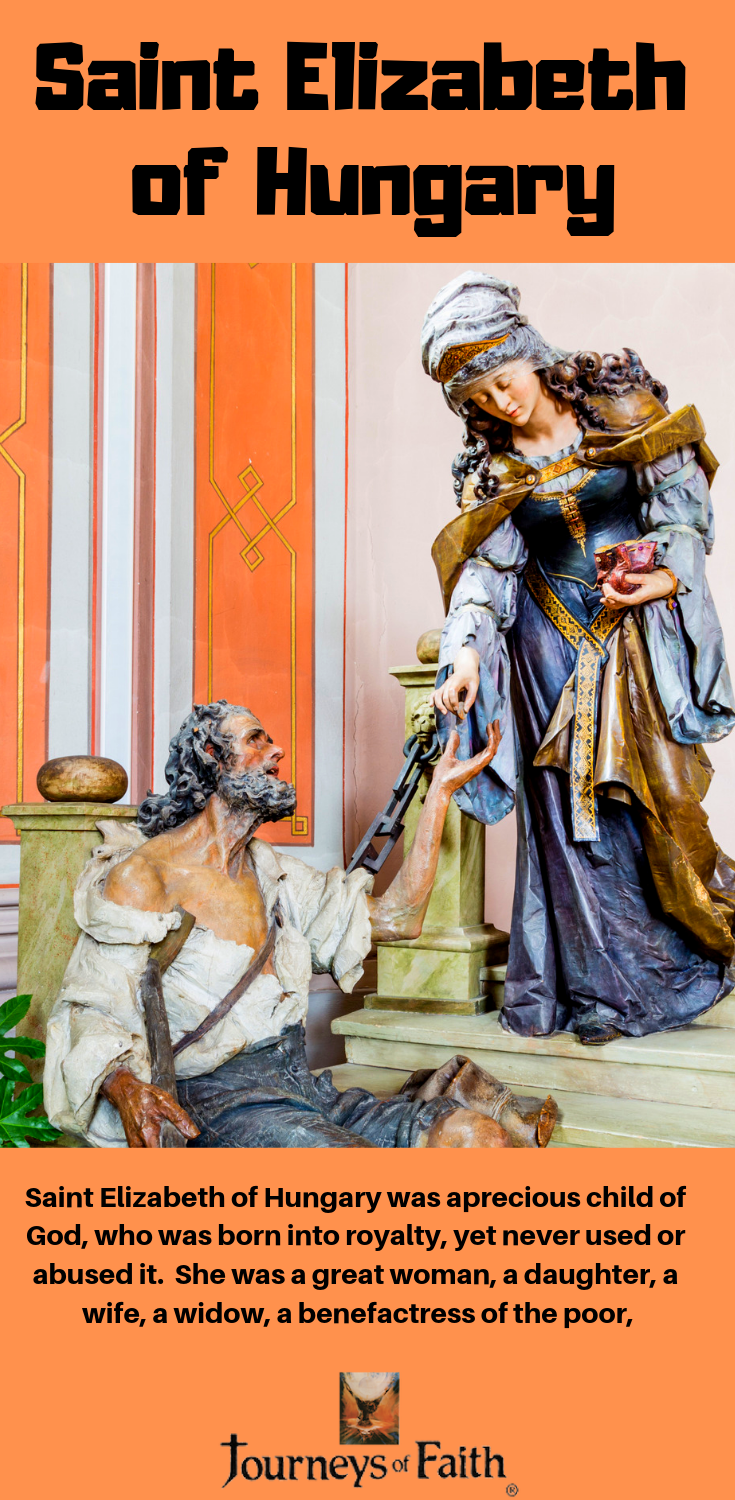 Saints Maligned Misunderstood and Mistreated Book