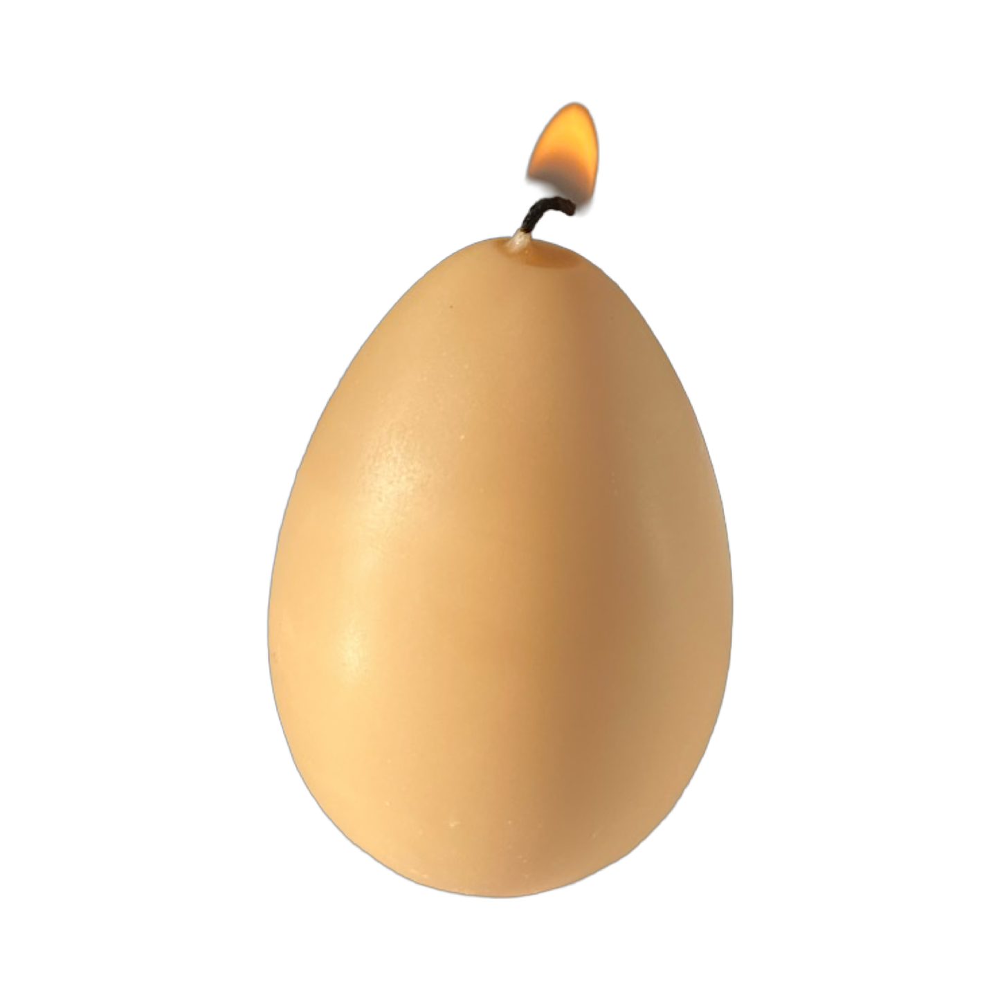 Egg Candles - 6 Pack Box - Concordia Style Boutique