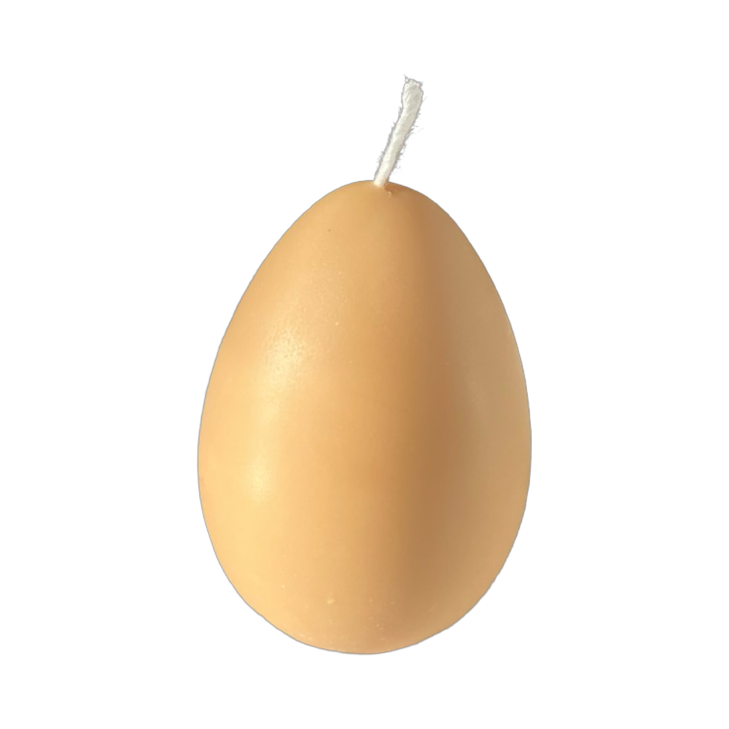 Egg Candles - 6 Pack Box - Concordia Style Boutique
