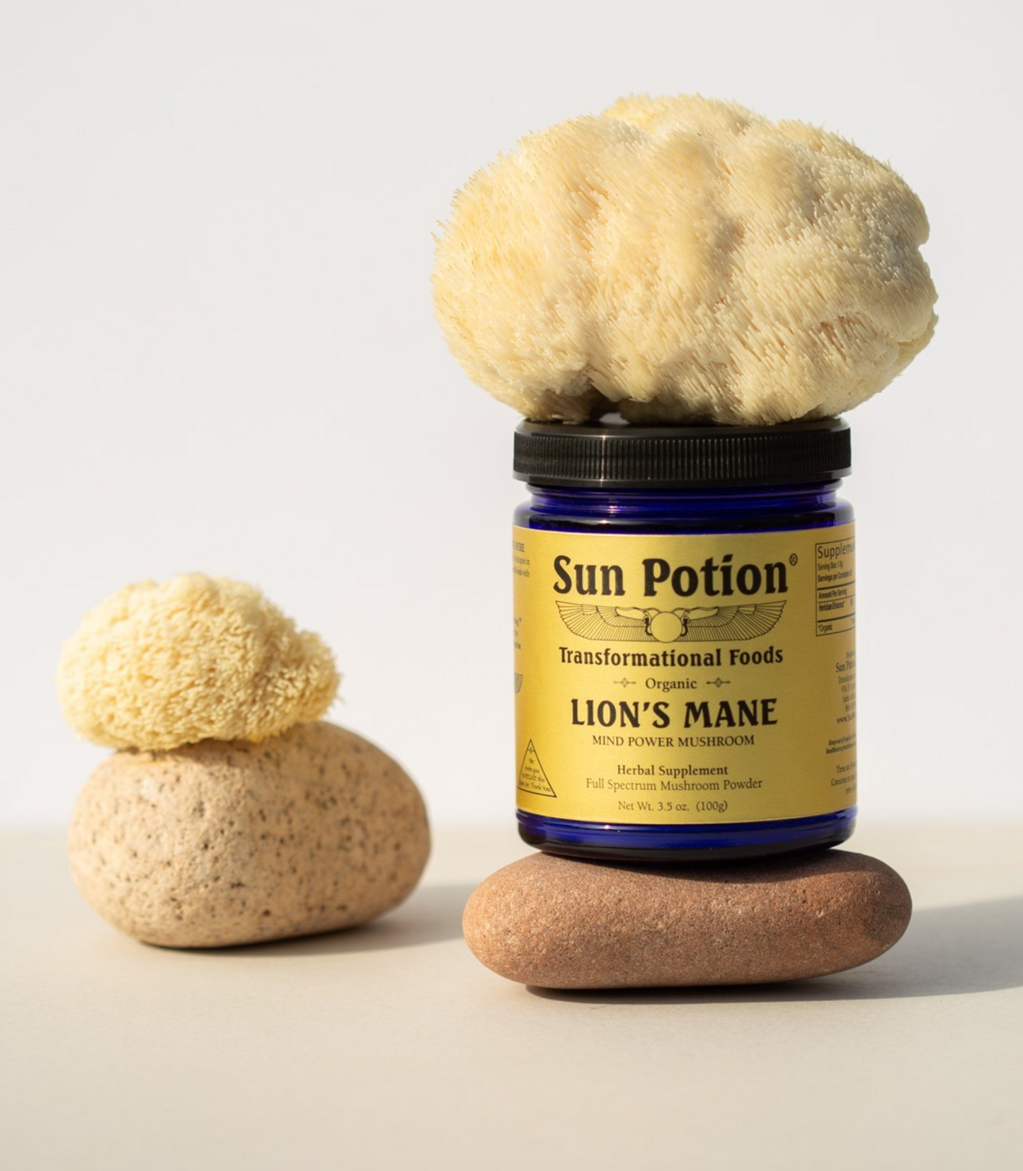 Lion's Mane (Organic) 100 grams - Concordia Style Boutique