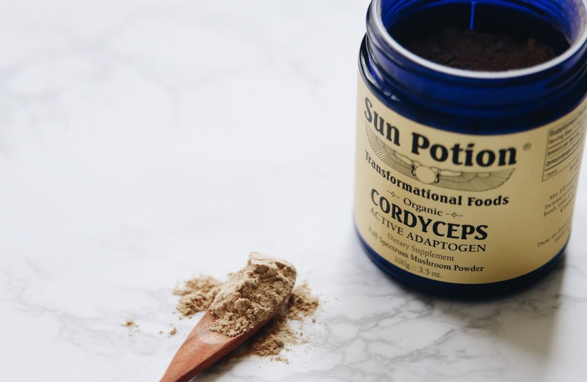 Cordyceps Mushroom Powder (Organic) - Concordia Style Boutique
