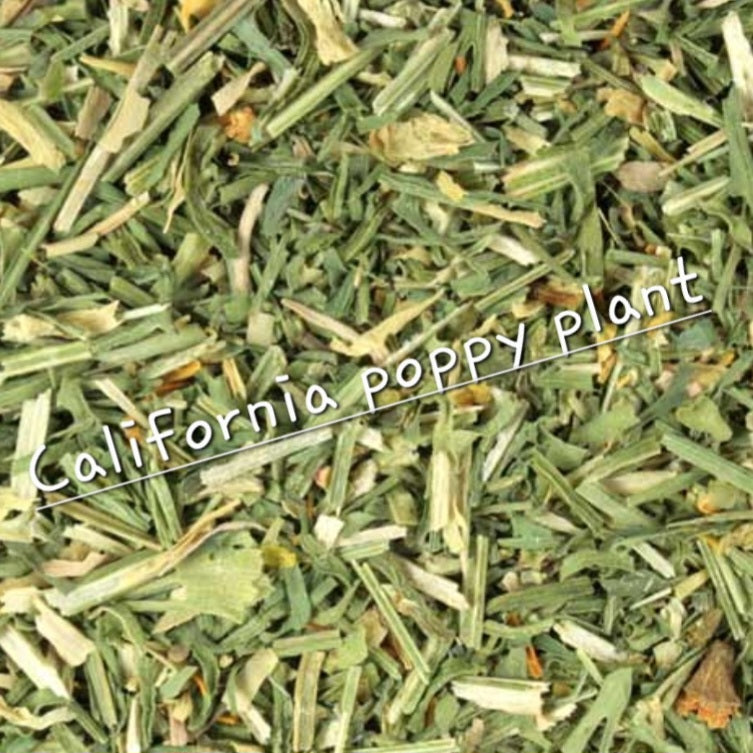 California Poppy Plant | Natural Relaxation & Sleep Support