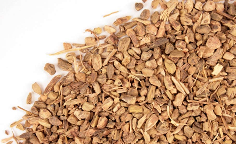 Yellow Dock Root | Iron-Rich Blood & Liver Detox Support